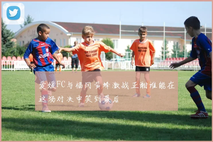 爱媛FC与福冈黄蜂激战正酣谁能在这场对决中笑到最后
