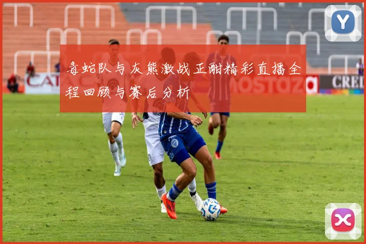 毒蛇队与灰熊激战正酣精彩直播全程回顾与赛后分析