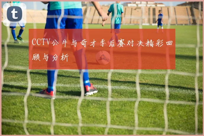 CCTV公牛与奇才季后赛对决精彩回顾与分析