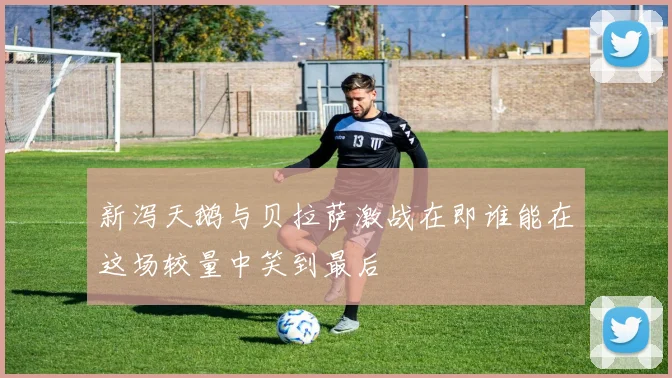 新泻天鹅与贝拉萨激战在即谁能在这场较量中笑到最后