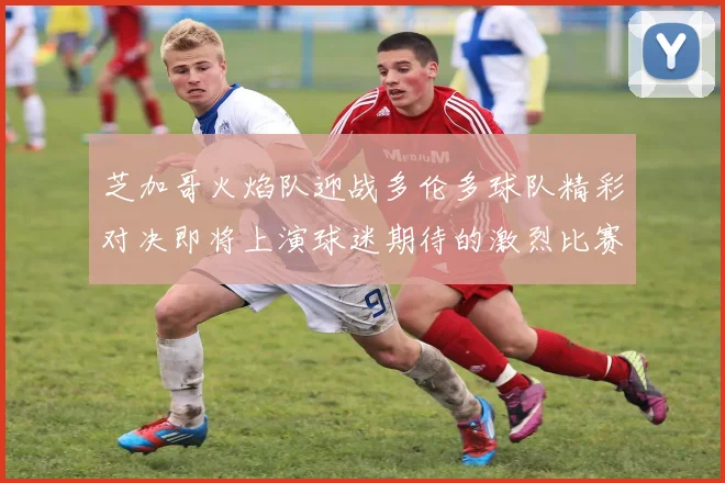 芝加哥火焰队迎战多伦多球队精彩对决即将上演球迷期待的激烈比赛即将开始