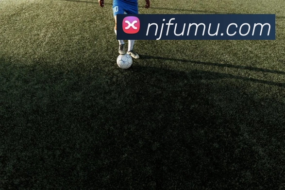 多媒体互动体验